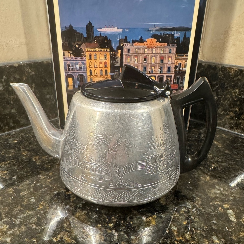 Elegant Silver and Black Teapot